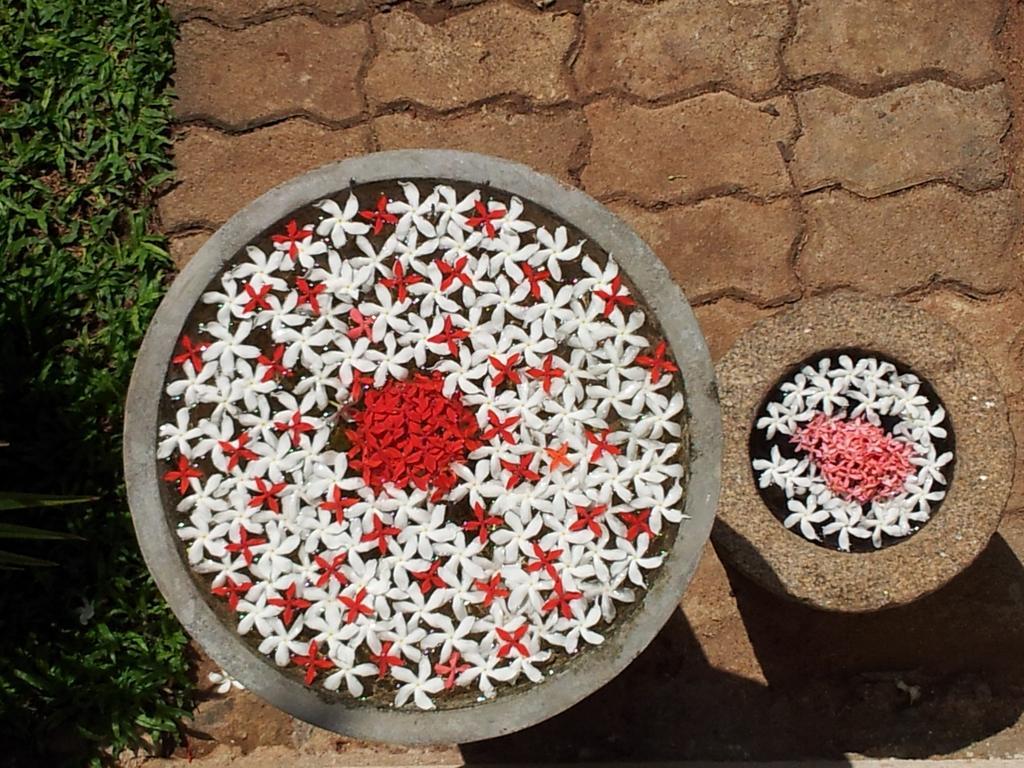 Amsterdam Tourist Rest Bed and Breakfast Anuradhapura Εξωτερικό φωτογραφία