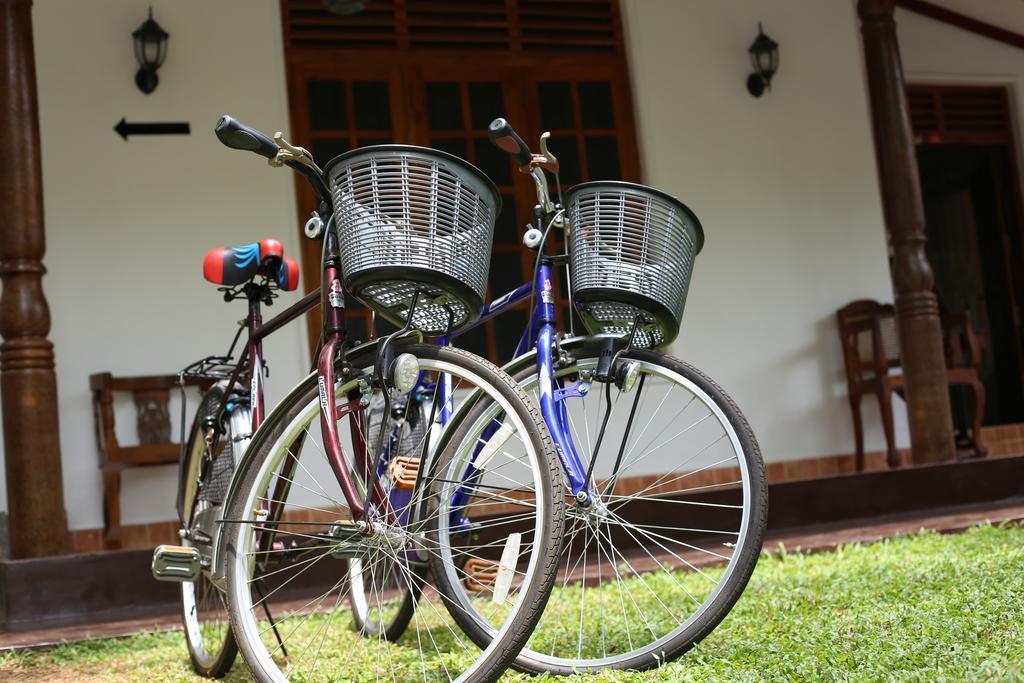 Amsterdam Tourist Rest Bed and Breakfast Anuradhapura Εξωτερικό φωτογραφία